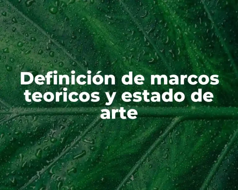 Definición de marcos teoricos y estado de arte