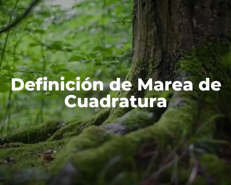Definición de Marea de Cuadratura