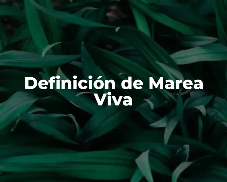 Definición de Marea Viva