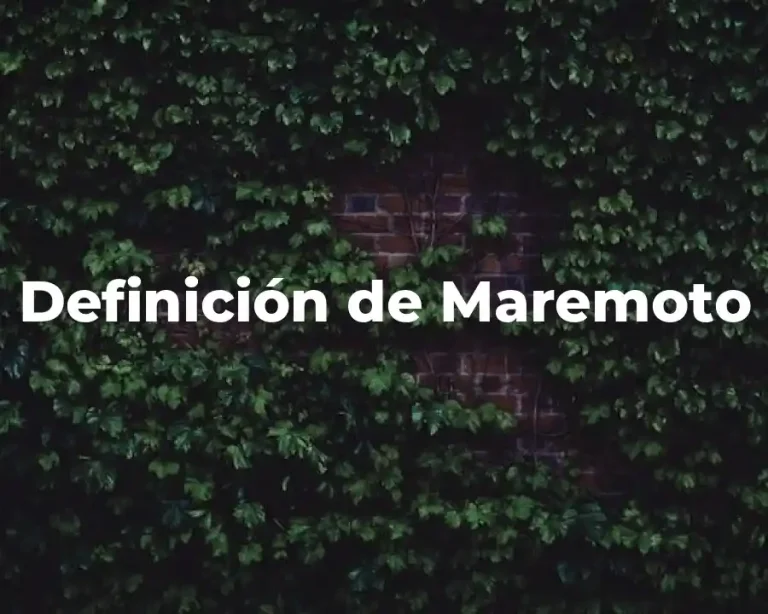 Definición de Maremoto