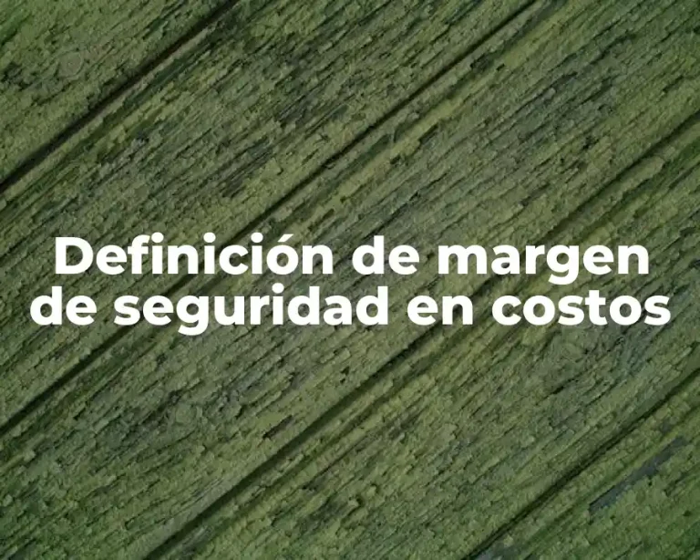 Definición de margen de seguridad en costos