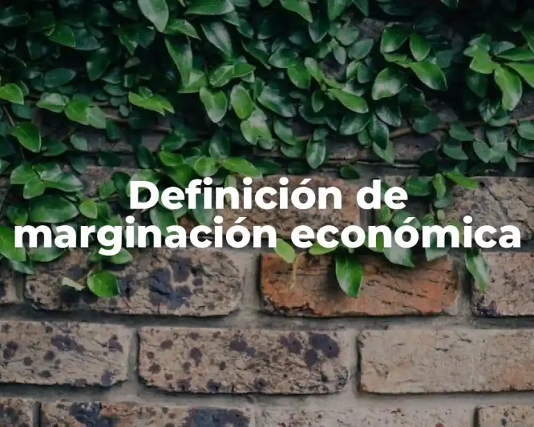 Definición de marginación económica