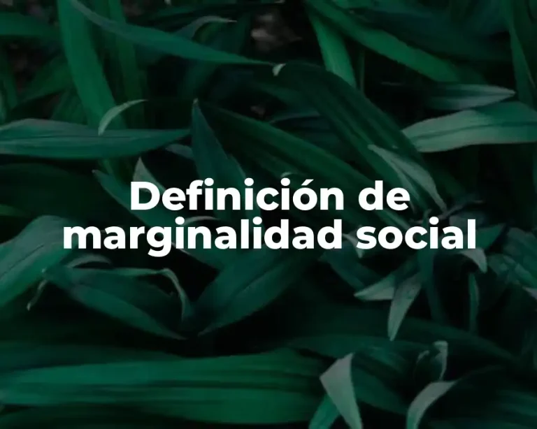 Definición de marginalidad social