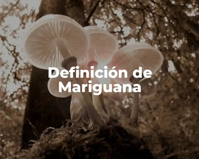 Definición de Mariguana