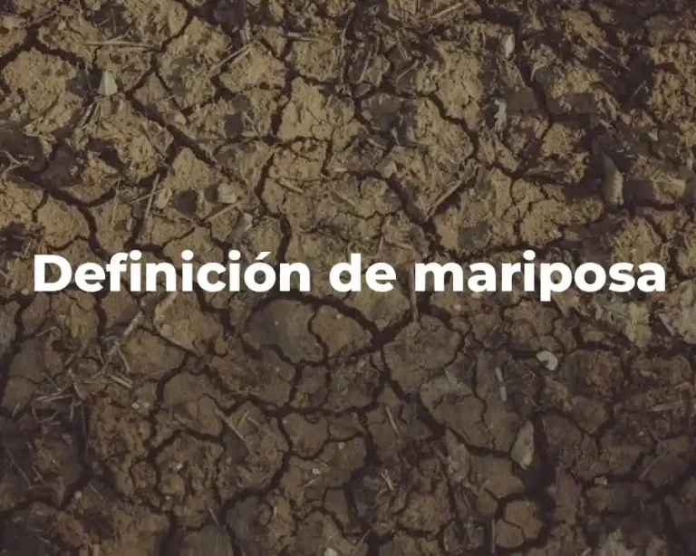 Definición de mariposa