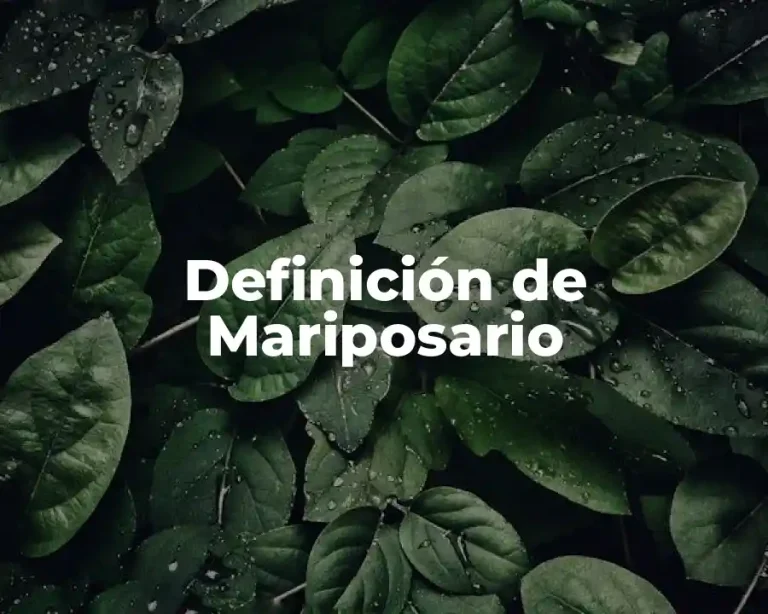 Definición de Mariposario