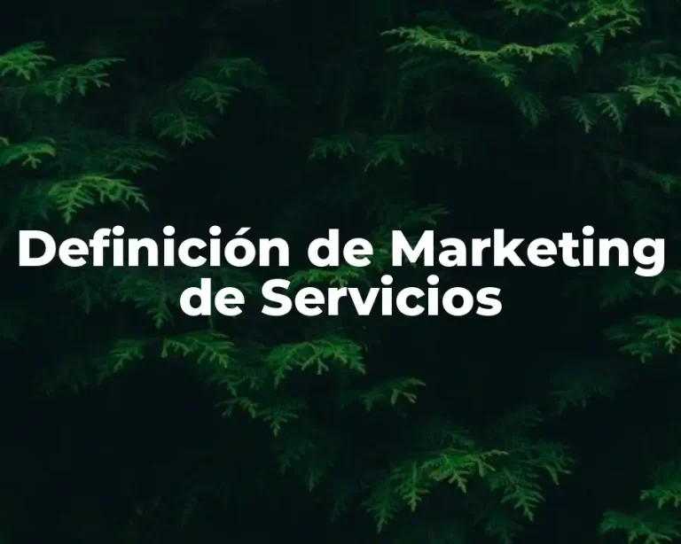 Definición de Marketing de Servicios
