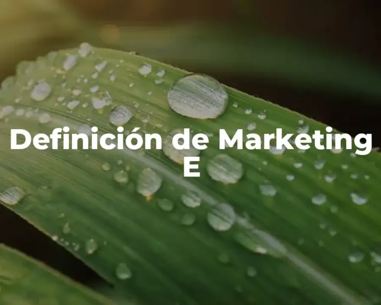 Definición de Marketing E