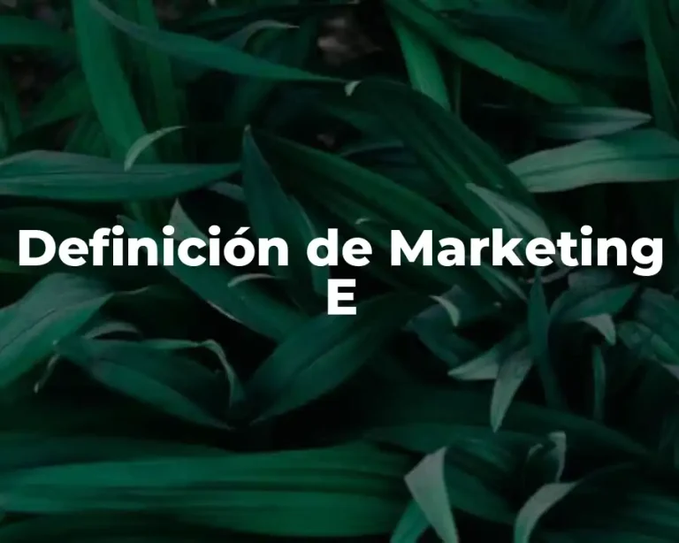 Definición de Marketing E