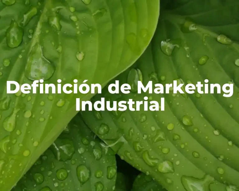Definición de Marketing Industrial