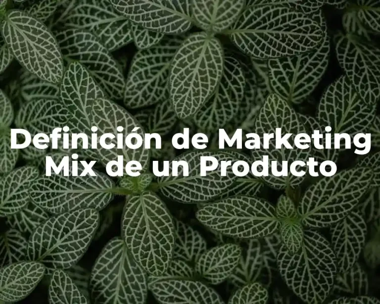 Definición de Marketing Mix de un Producto