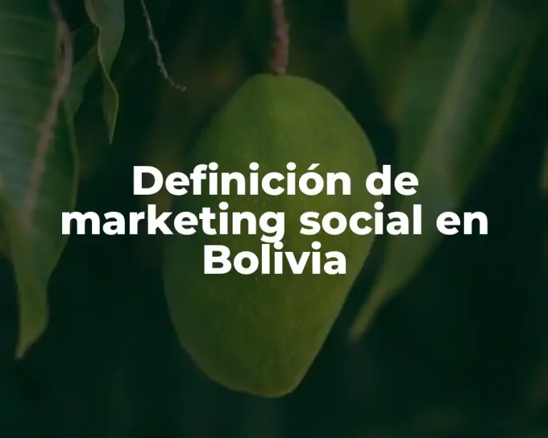 Definición de marketing social en Bolivia