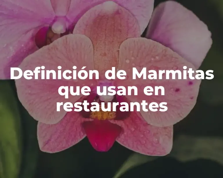 Definición de Marmitas que usan en restaurantes