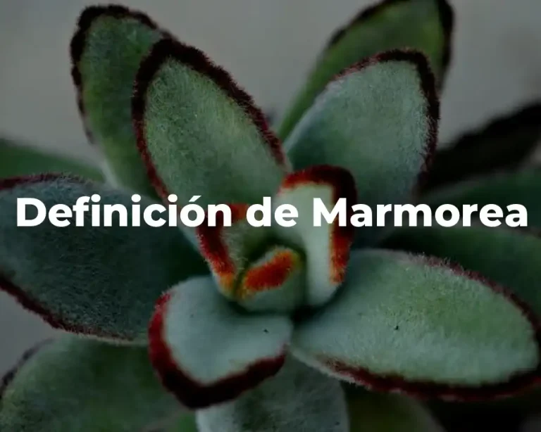 Definición de Marmorea