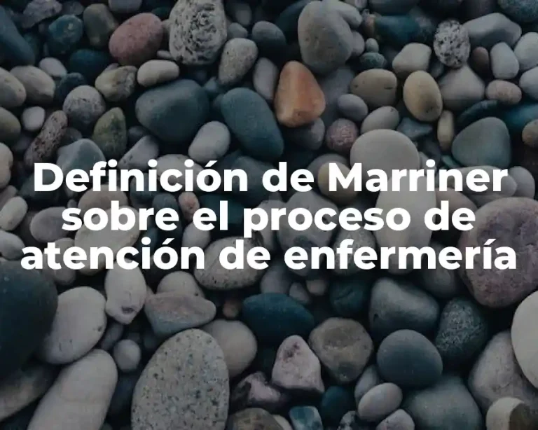 Definición de Marriner sobre el proceso de atención de enfermería