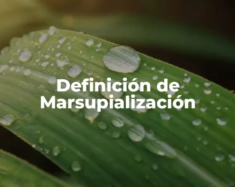 Definición de Marsupialización