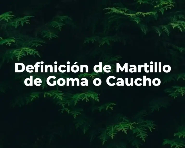 Definición de Martillo de Goma o Caucho