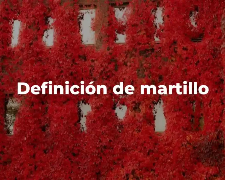 Definición de martillo
