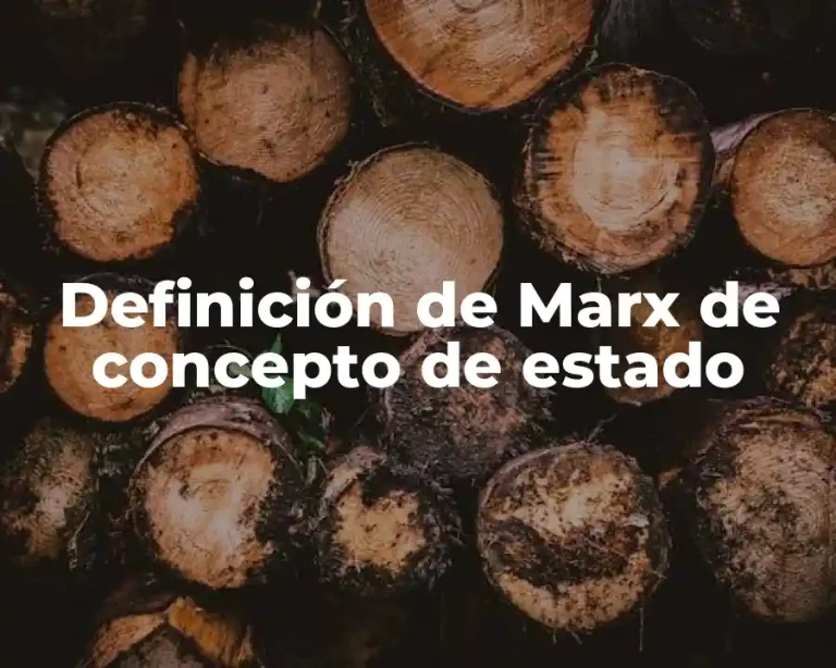 Definición de Marx de concepto de estado
