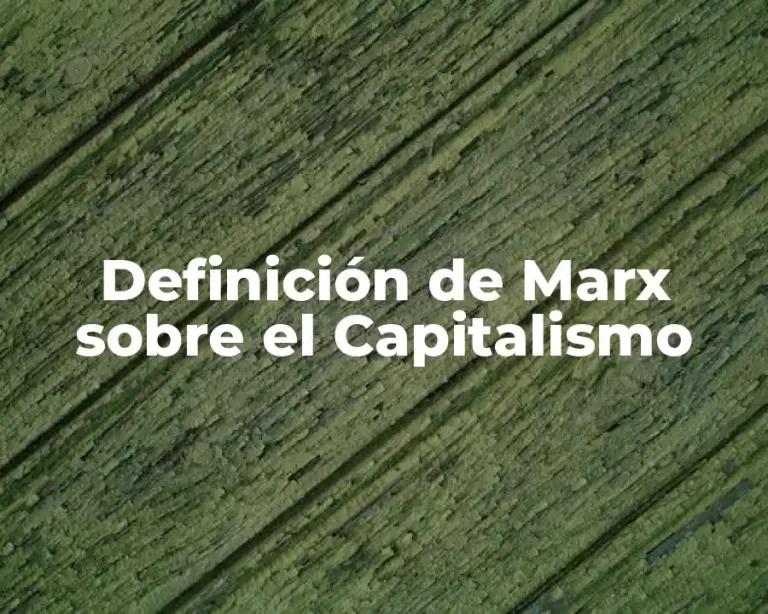 Definición de Marx sobre el Capitalismo