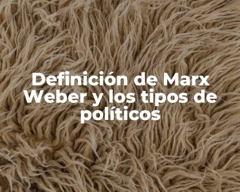 Definición de Marx Weber y los tipos de políticos