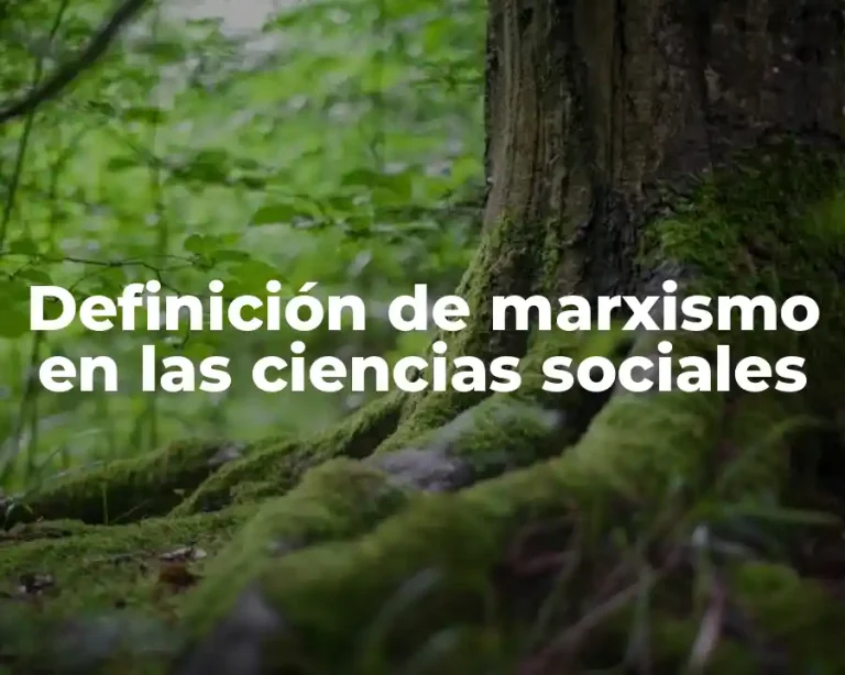 Definición de marxismo en las ciencias sociales