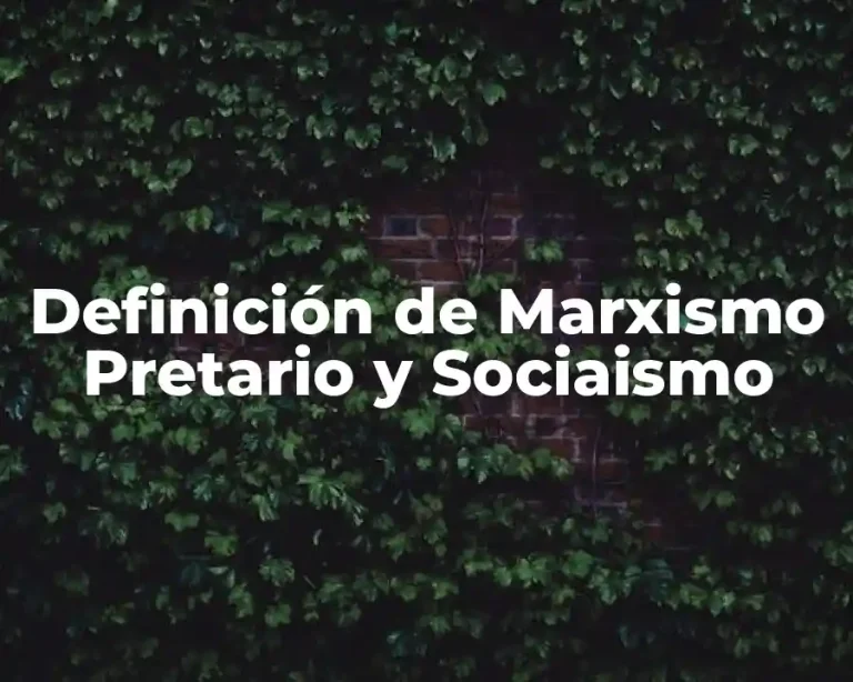 Definición de Marxismo Pretario y Sociaismo