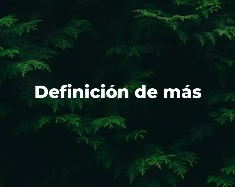 Definición de más