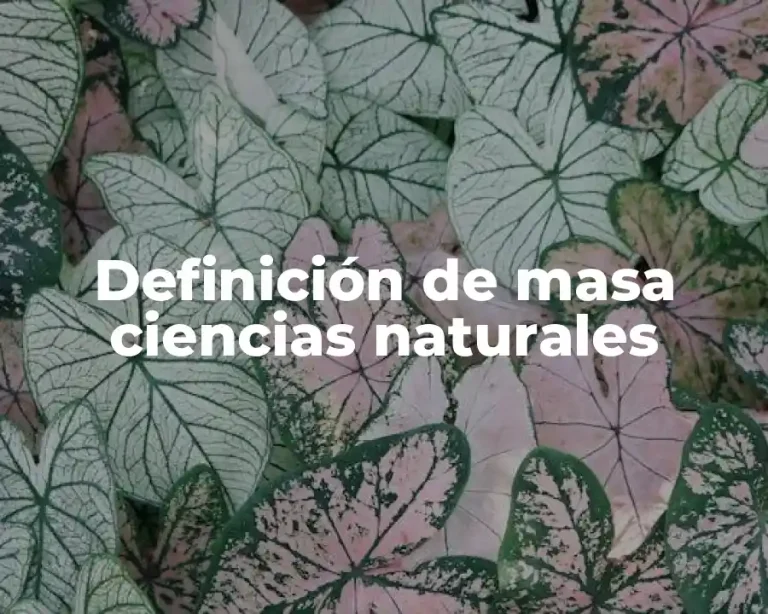 Definición de masa ciencias naturales
