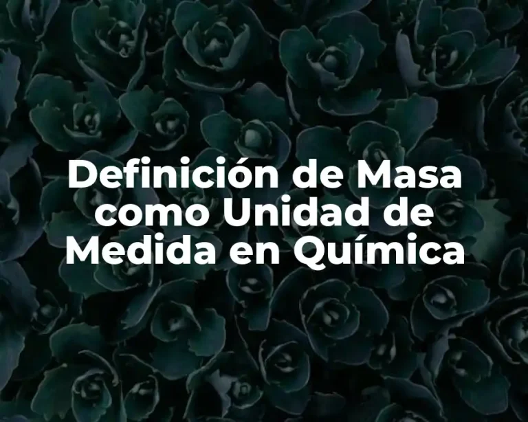 Definición de Masa como Unidad de Medida en Química