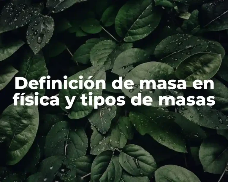 Definición de masa en física y tipos de masas