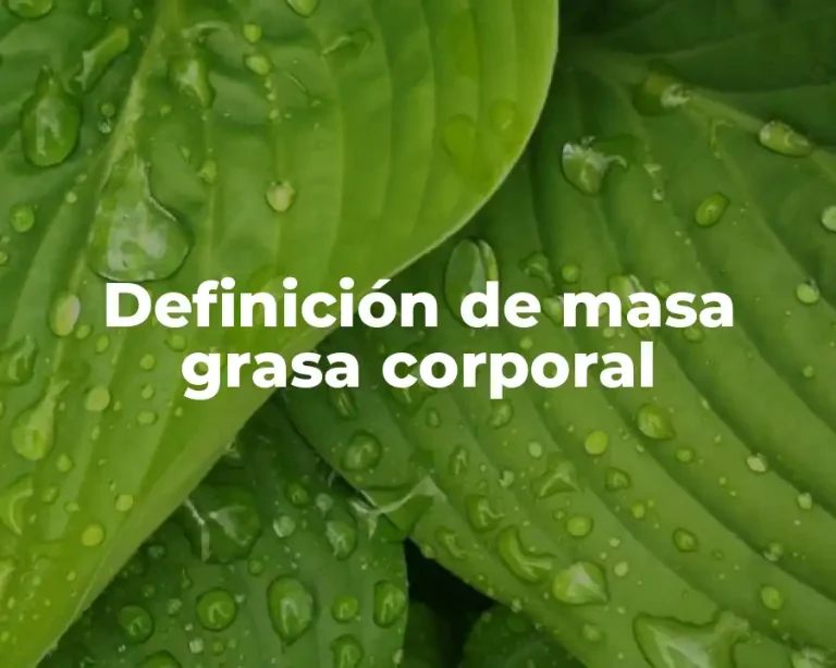 Definición de masa grasa corporal