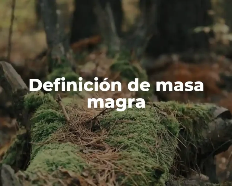 Definición de masa magra