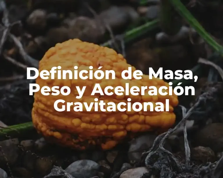 Definición de Masa, Peso y Aceleración Gravitacional