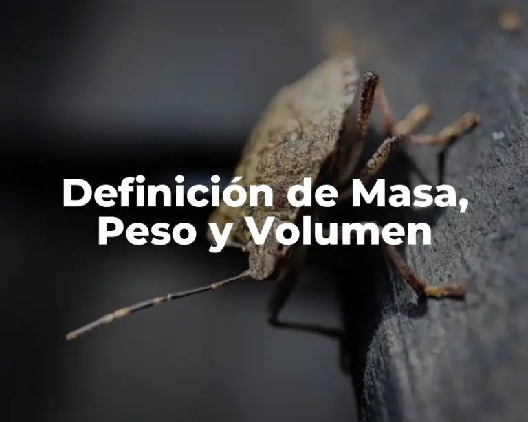 Definición de Masa, Peso y Volumen