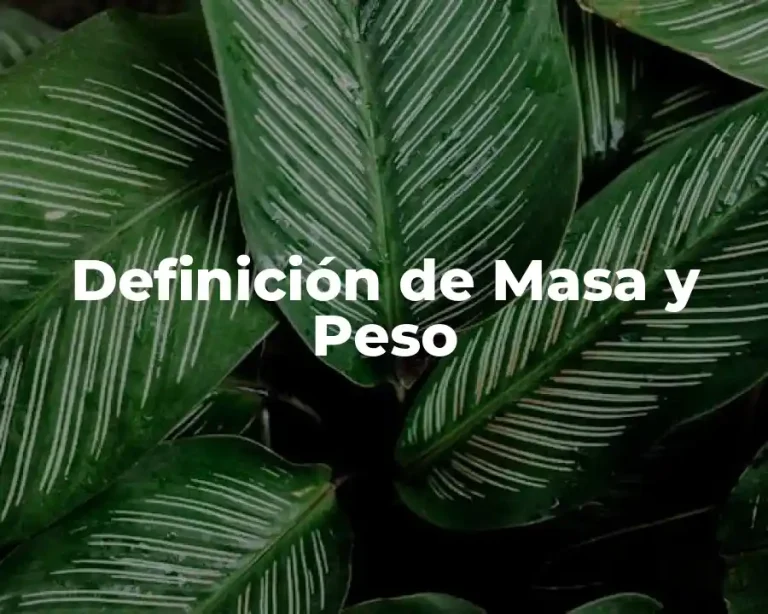 Definición de Masa y Peso