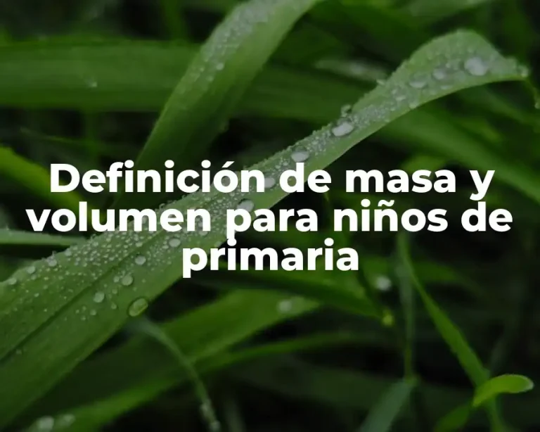Definición de masa y volumen para niños de primaria
