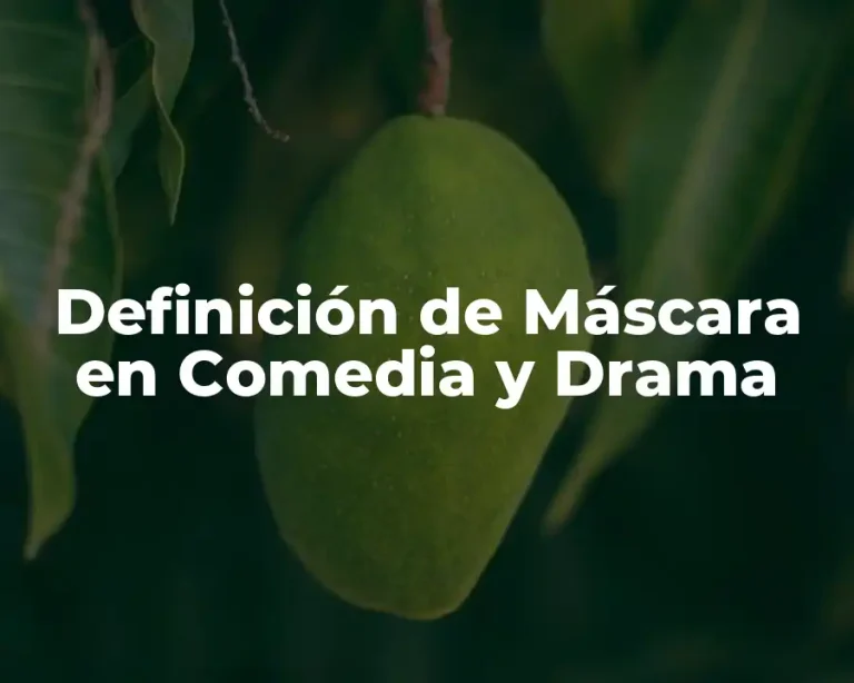 Definición de Máscara en Comedia y Drama