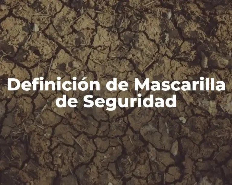 Definición de Mascarilla de Seguridad