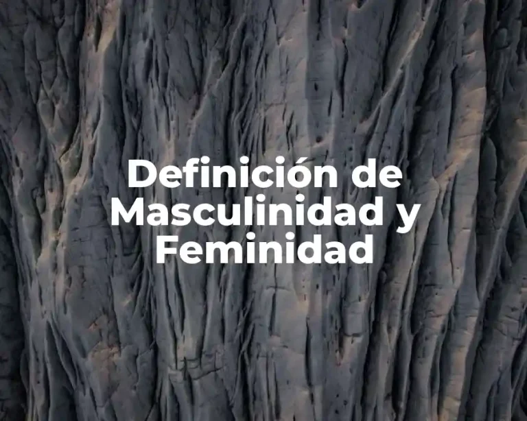 Definición de Masculinidad y Feminidad
