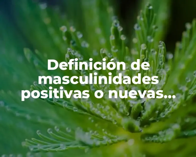 Definición de masculinidades positivas o nuevas masculinidades