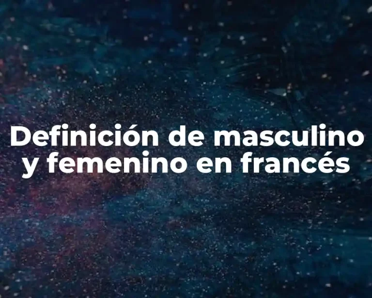Definición de masculino y femenino en francés