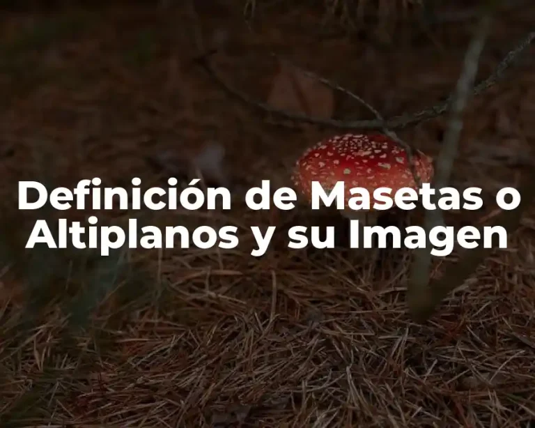 Definición de Masetas o Altiplanos y su Imagen