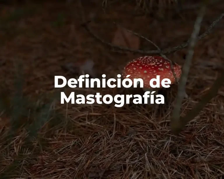 Definición de Mastografía
