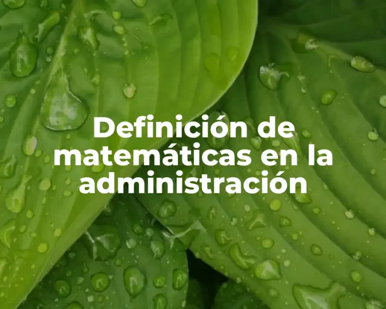 Definición de matemáticas en la administración