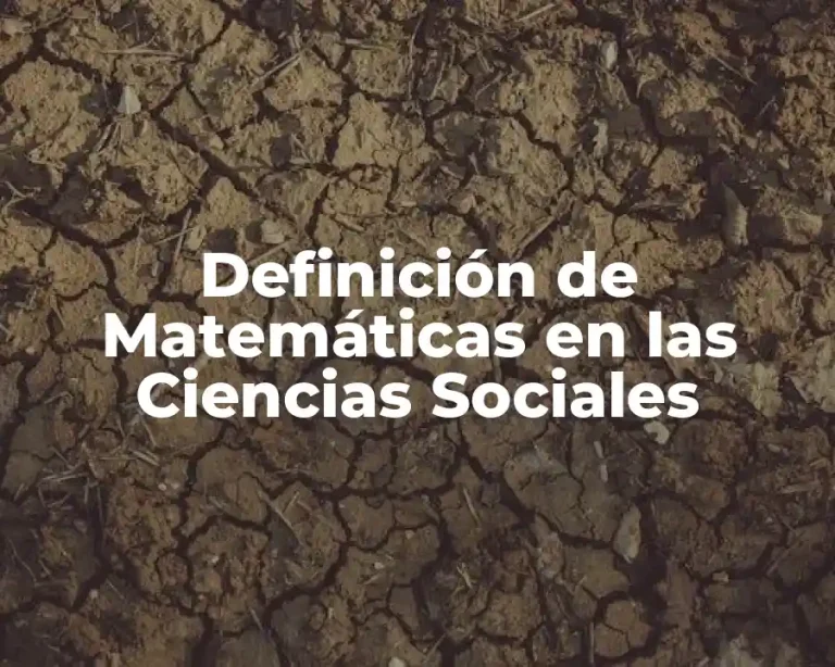 Definición de Matemáticas en las Ciencias Sociales