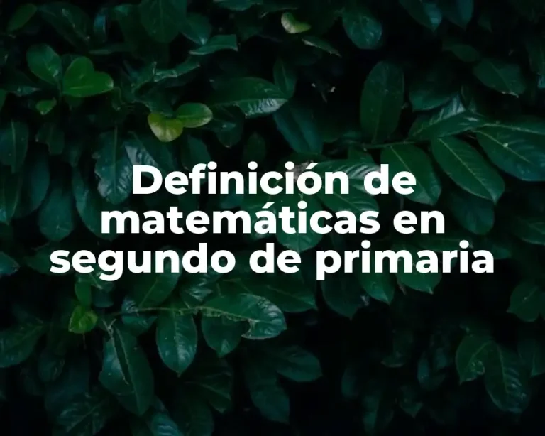 Definición de matemáticas en segundo de primaria