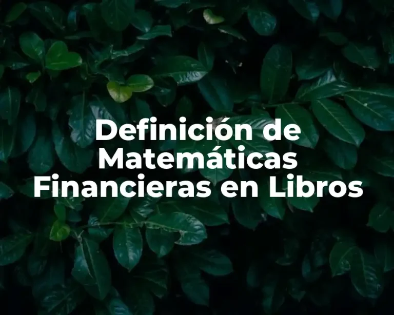 Definición de Matemáticas Financieras en Libros