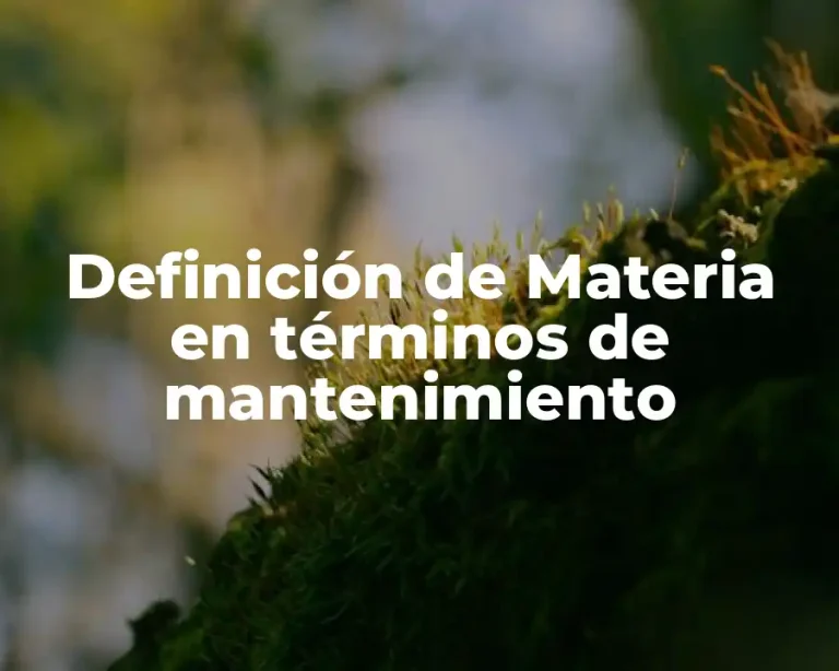 Definición de Materia en términos de mantenimiento