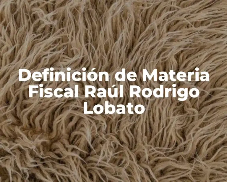 Definición de Materia Fiscal Raúl Rodrigo Lobato